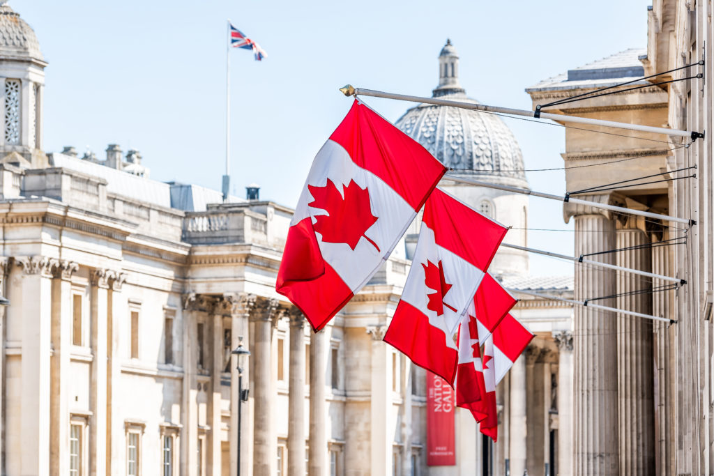Canada flags on display to represent CTTIC's intention to maintain and promote high-quality communication across linguistic and cultural communities in Canada